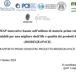 Report Primo semestre