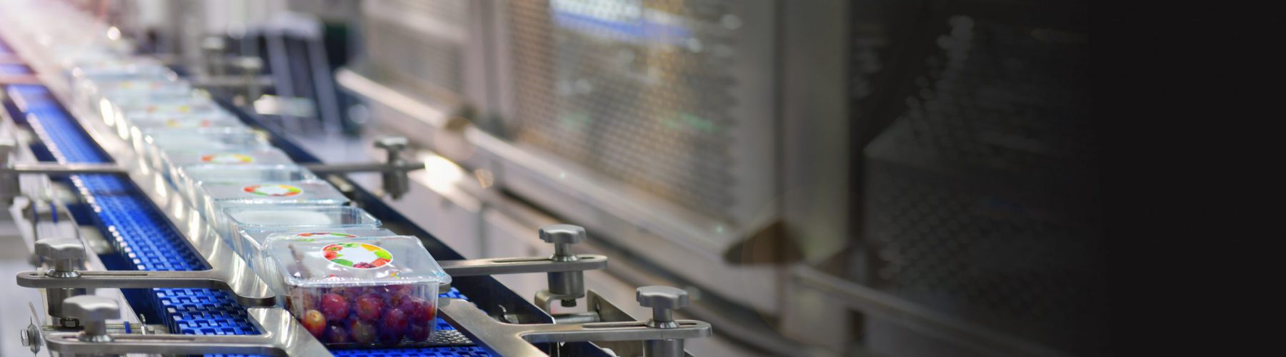 Food products boxs transfer on Automated conveyor systems industrial automation for package.Space for text