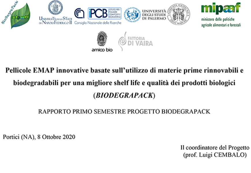 Report Primo semestre